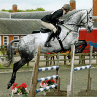 proactive Kate Tarrent Eventing